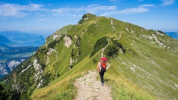 Découverte des joyaux naturels en Ardèche : un parc riche en flore et faune