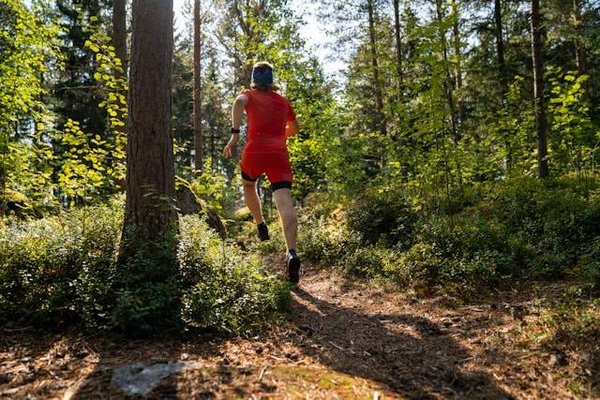 Top des randonnées incontournables en Dordogne